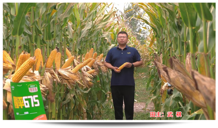 1747637983211261.png 圖片22.png