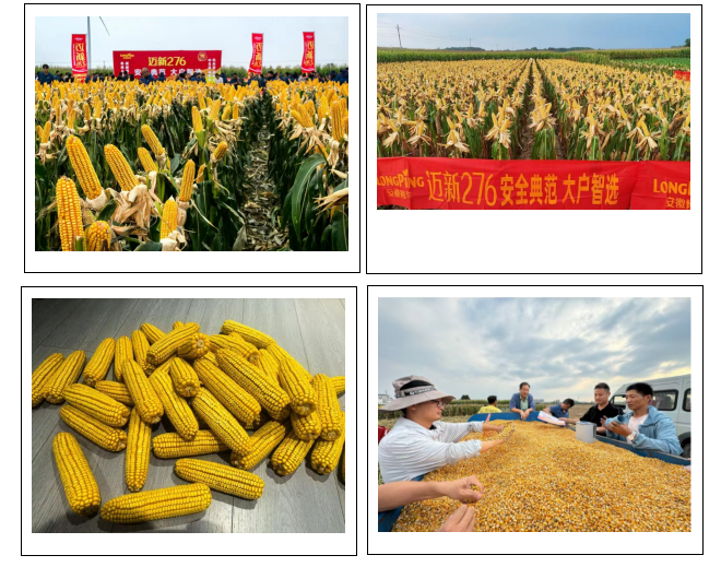 1747639851336336.png 33.png